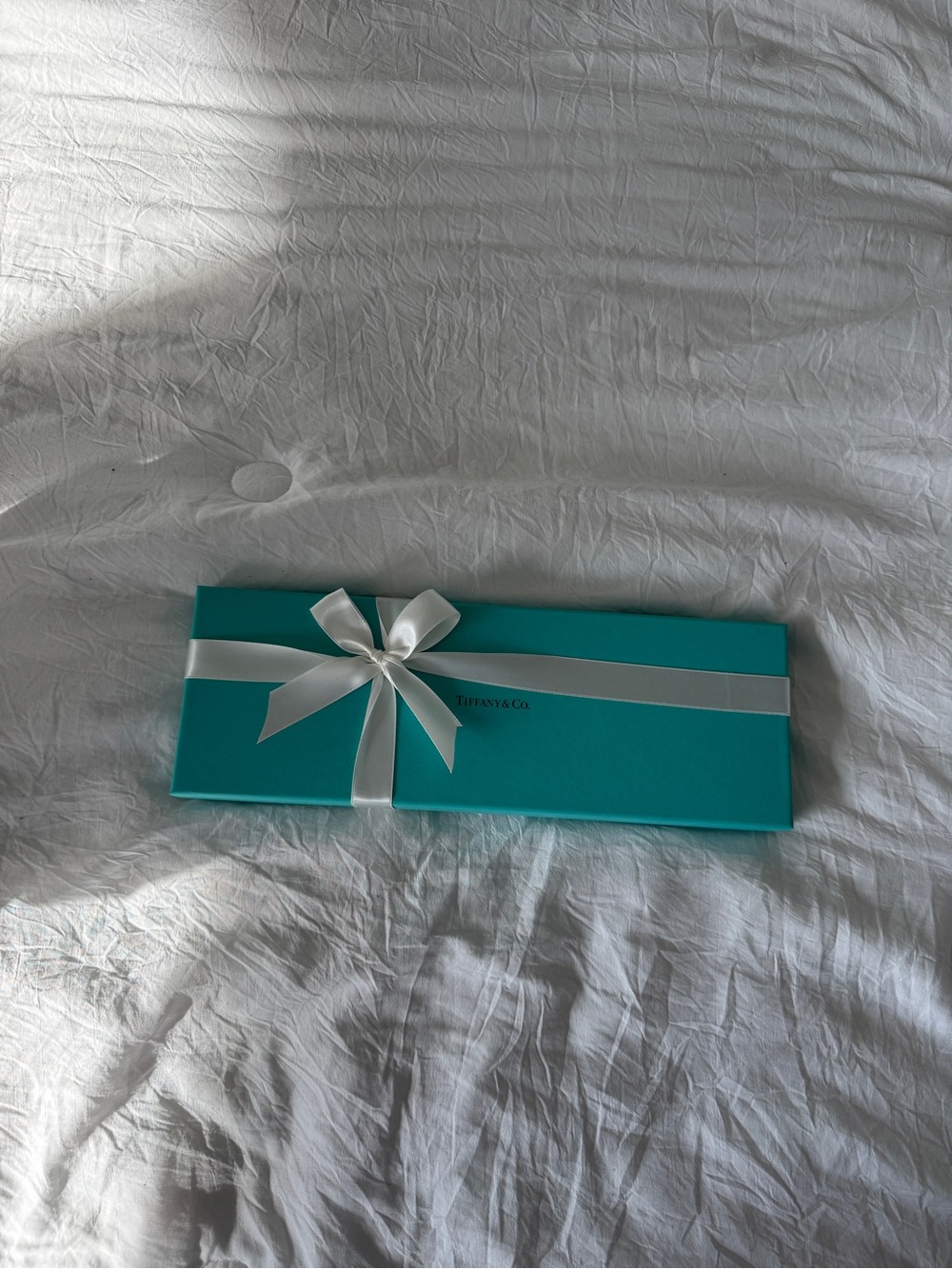 Tiffany & Co. Gift Box